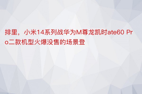 排里，小米14系列战华为M尊龙凯时ate60 Pro二款机型火爆没售的场景登