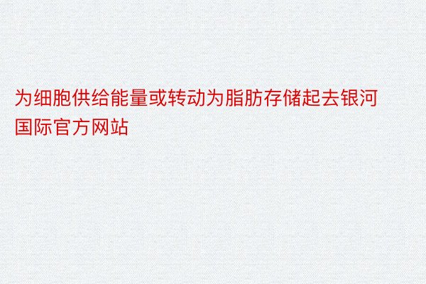 为细胞供给能量或转动为脂肪存储起去银河国际官方网站