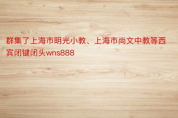 群集了上海市明光小教、上海市尚文中教等西宾闭键闭头wns888