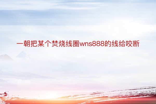 一朝把某个焚烧线圈wns888的线给咬断