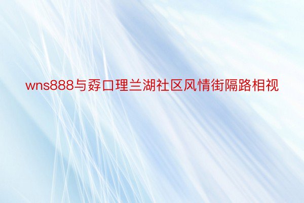 wns888与孬口理兰湖社区风情街隔路相视