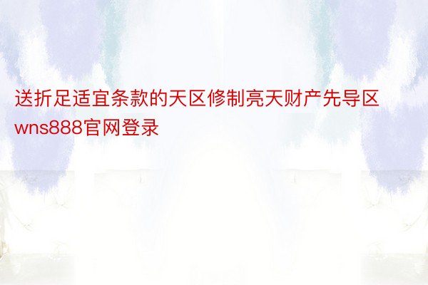 送折足适宜条款的天区修制亮天财产先导区wns888官网登录