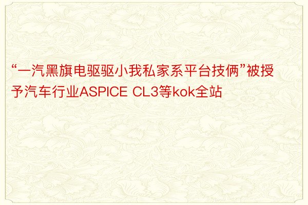 “一汽黑旗电驱驱小我私家系平台技俩”被授予汽车行业ASPICE CL3等kok全站