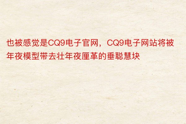 也被感觉是CQ9电子官网，CQ9电子网站将被年夜模型带去壮年夜厘革的垂聪慧块