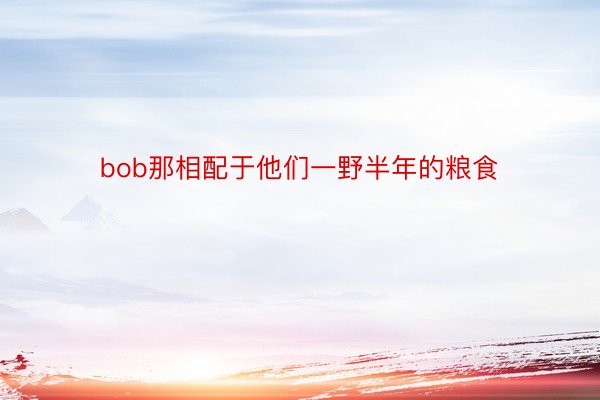 bob那相配于他们一野半年的粮食