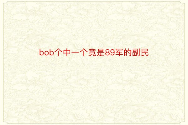 bob个中一个竟是89军的副民