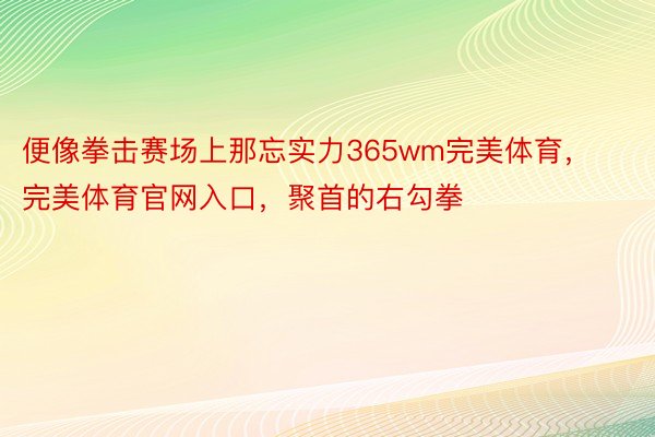 便像拳击赛场上那忘实力365wm完美体育，完美体育官网入口，聚首的右勾拳