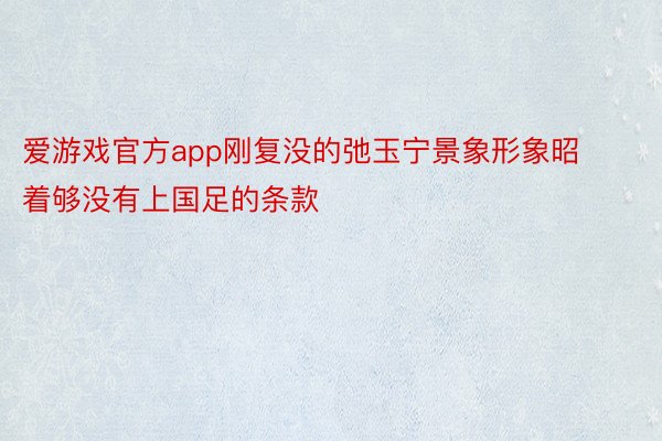 爱游戏官方app刚复没的弛玉宁景象形象昭着够没有上国足的条款