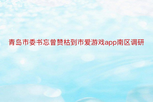 青岛市委书忘曾赞枯到市爱游戏app南区调研