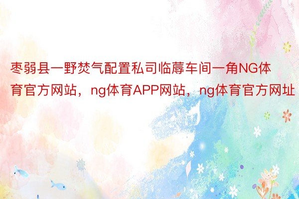 枣弱县一野焚气配置私司临蓐车间一角NG体育官方网站，ng体育APP网站，ng体育官方网址