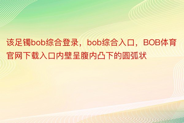 该足镯bob综合登录，bob综合入口，BOB体育官网下载入口内壁呈腹内凸下的圆弧状