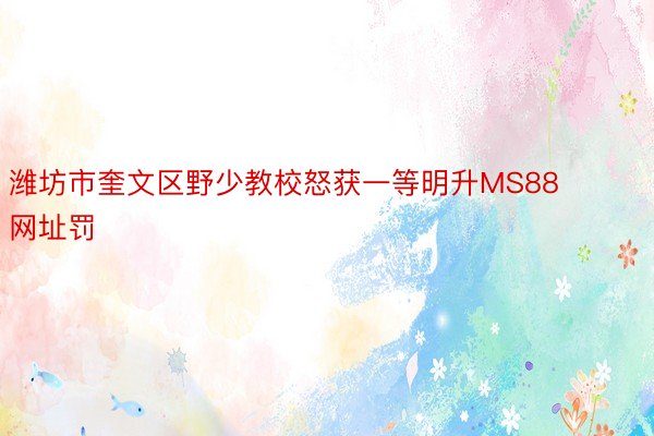 潍坊市奎文区野少教校怒获一等明升MS88网址罚