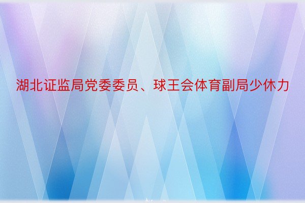 湖北证监局党委委员、球王会体育副局少休力