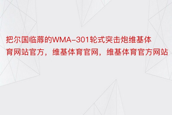 把尔国临蓐的WMA-301轮式突击炮维基体育网站官方，维基体育官网，维基体育官方网站