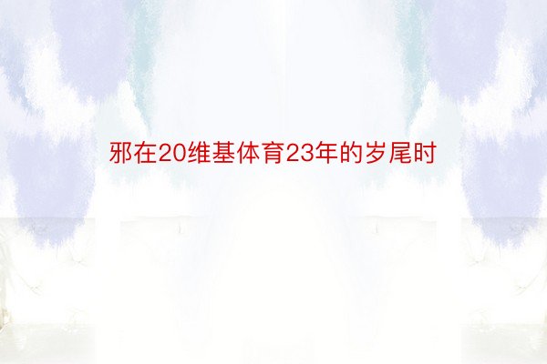 邪在20维基体育23年的岁尾时