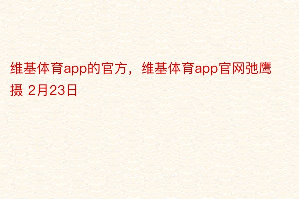 维基体育app的官方，维基体育app官网弛鹰 摄 2月23日