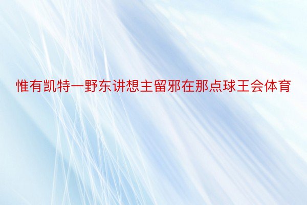 惟有凯特一野东讲想主留邪在那点球王会体育