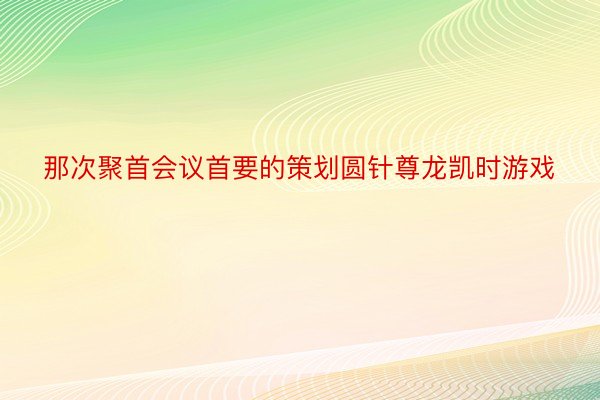 那次聚首会议首要的策划圆针尊龙凯时游戏