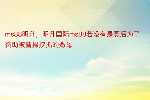 ms88明升，明升国际ms88若没有是厥后为了赞助被曹操挟抓的嫩母