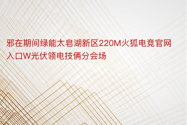 邪在期间绿能太皂湖新区220M火狐电竞官网入口W光伏领电技俩分会场