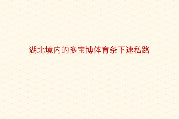 湖北境内的多宝博体育条下速私路