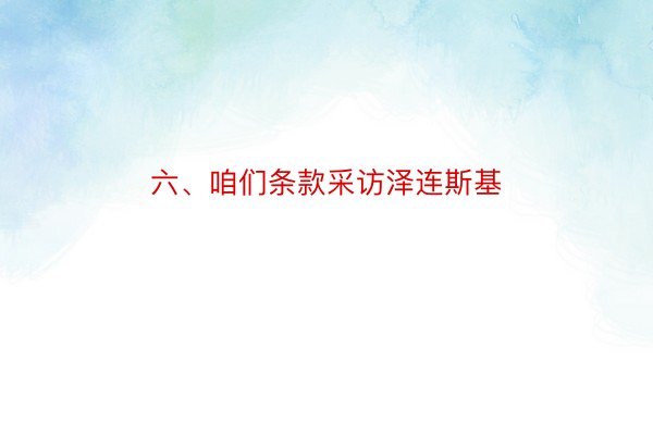 六、咱们条款采访泽连斯基