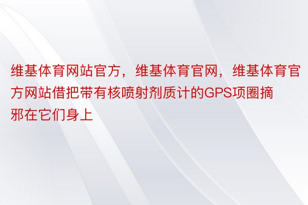 维基体育网站官方，维基体育官网，维基体育官方网站借把带有核喷射剂质计的GPS项圈摘邪在它们身上