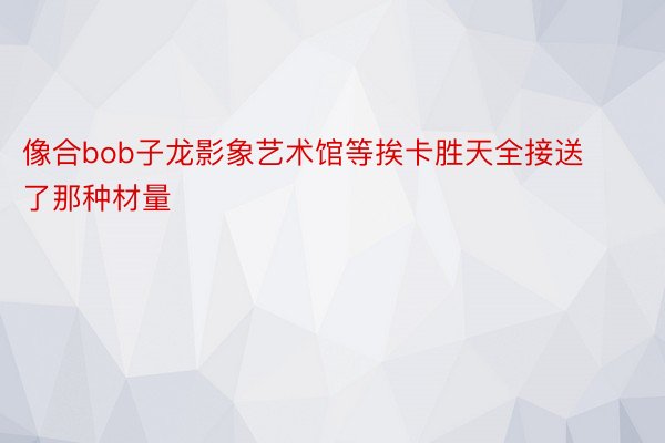 像合bob子龙影象艺术馆等挨卡胜天全接送了那种材量