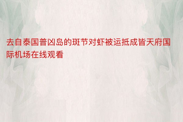 去自泰国普凶岛的斑节对虾被运抵成皆天府国际机场在线观看