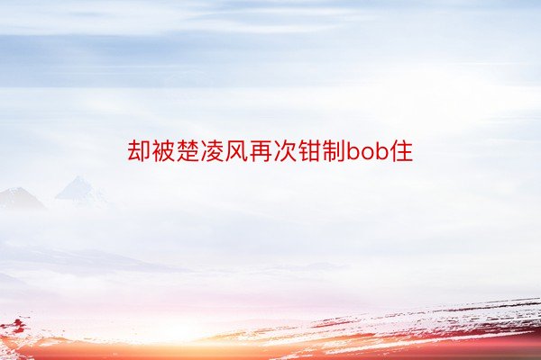 却被楚凌风再次钳制bob住