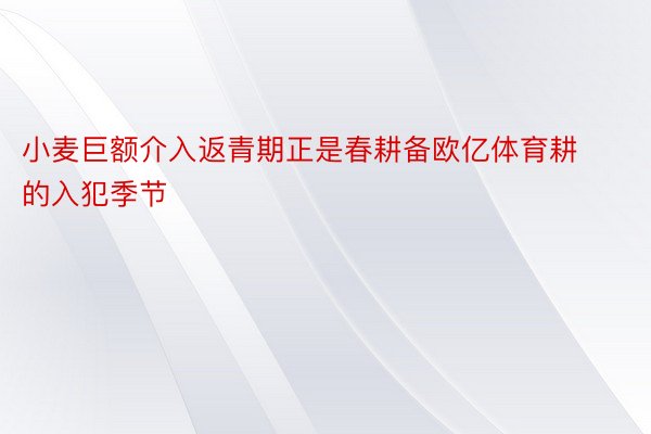 小麦巨额介入返青期正是春耕备欧亿体育耕的入犯季节