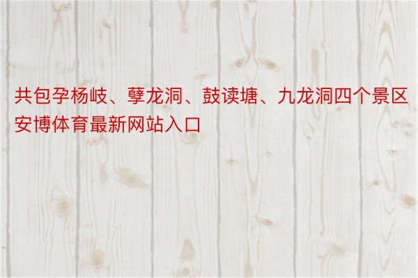 共包孕杨岐、孽龙洞、鼓读塘、九龙洞四个景区安博体育最新网站入口