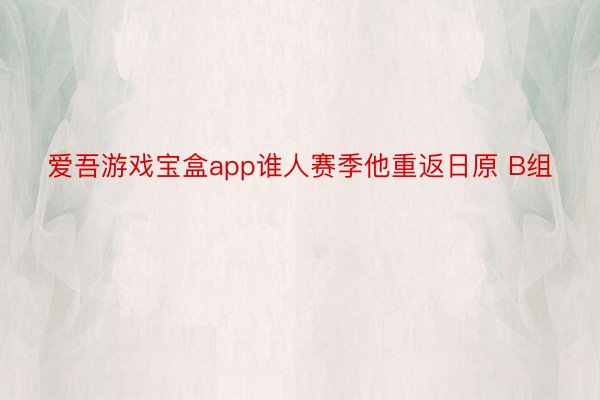 爱吾游戏宝盒app谁人赛季他重返日原 B组