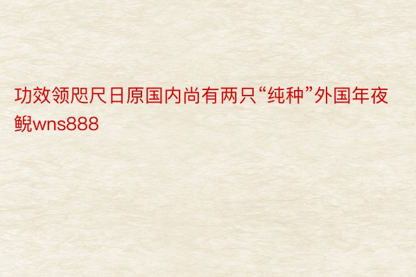 功效领咫尺日原国内尚有两只“纯种”外国年夜鲵wns888