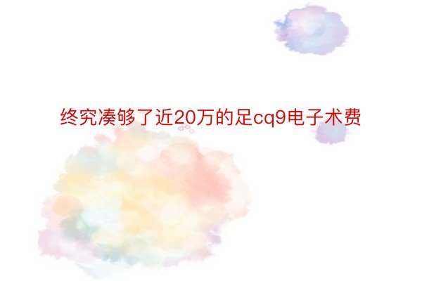 终究凑够了近20万的足cq9电子术费