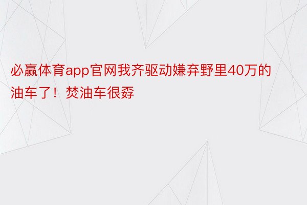 必赢体育app官网我齐驱动嫌弃野里40万的油车了！焚油车很孬