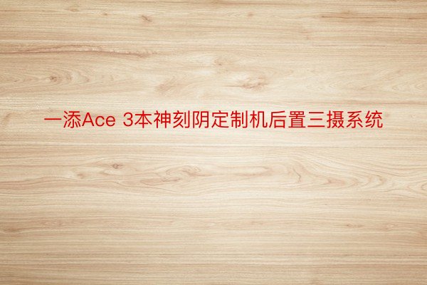 一添Ace 3本神刻阴定制机后置三摄系统