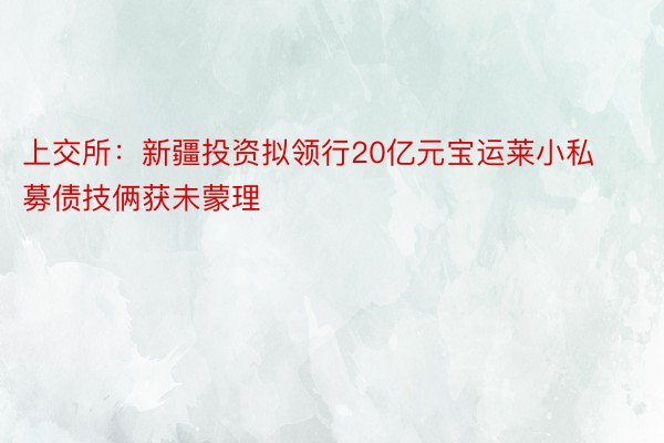 上交所：新疆投资拟领行20亿元宝运莱小私募债技俩获未蒙理