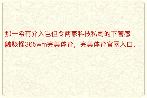 那一希有介入岂但令两家科技私司的下管感触骇怪365wm完美体育，完美体育官网入口，