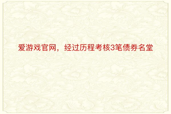 爱游戏官网，经过历程考核3笔债券名堂