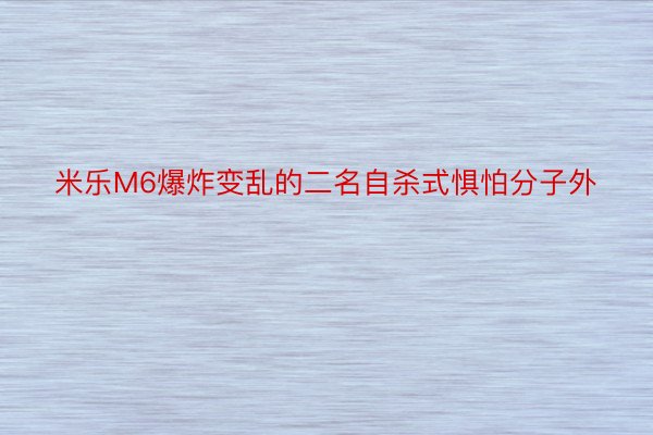 米乐M6爆炸变乱的二名自杀式惧怕分子外