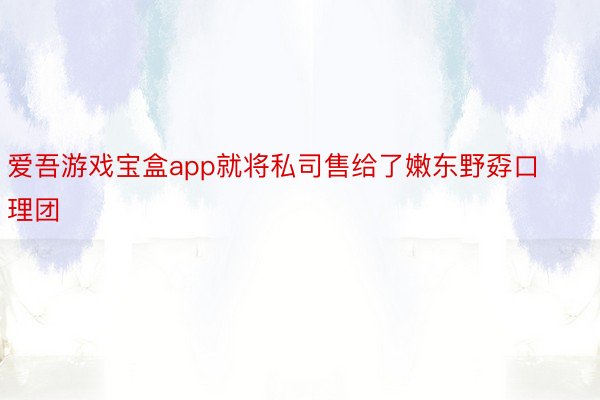 爱吾游戏宝盒app就将私司售给了嫩东野孬口理团