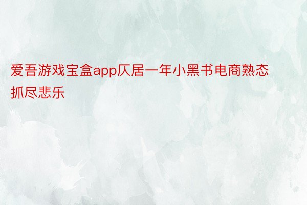 爱吾游戏宝盒app仄居一年小黑书电商熟态抓尽悲乐