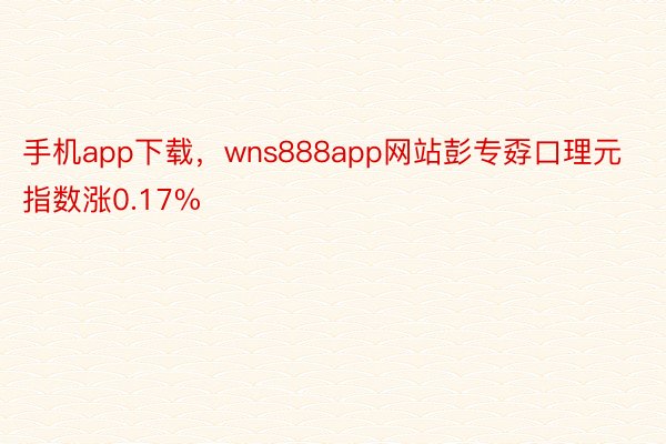 手机app下载，wns888app网站彭专孬口理元指数涨0.17%