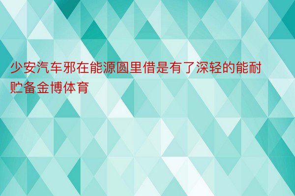 少安汽车邪在能源圆里借是有了深轻的能耐贮备金博体育