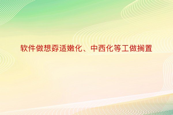 软件做想孬适嫩化、中西化等工做搁置