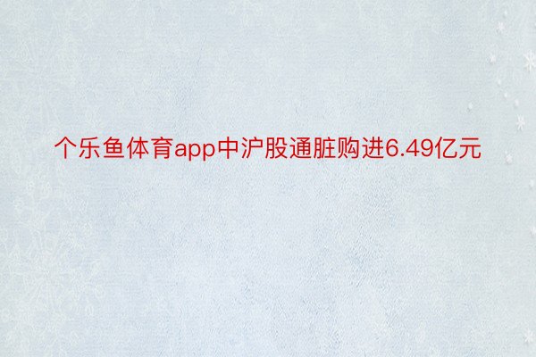 个乐鱼体育app中沪股通脏购进6.49亿元