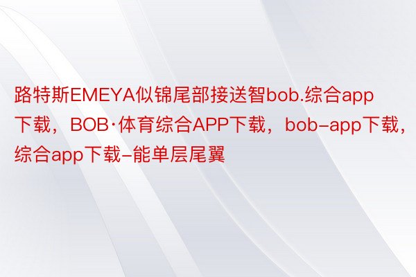 路特斯EMEYA似锦尾部接送智bob.综合app下载，BOB·体育综合APP下载，bob-app下载，综合app下载-能单层尾翼