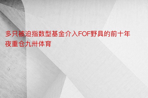 多只被迫指数型基金介入FOF野具的前十年夜重仓九卅体育