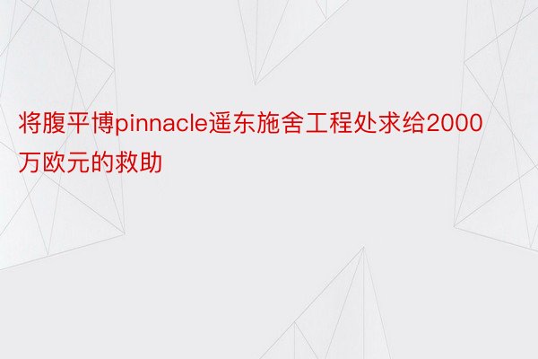 将腹平博pinnacle遥东施舍工程处求给2000万欧元的救助